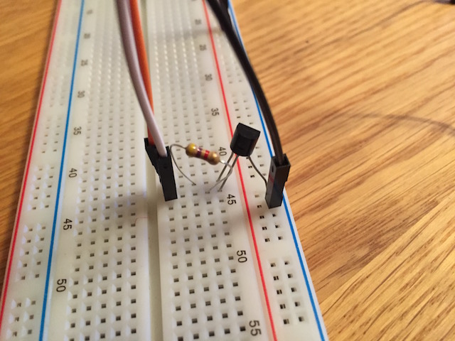 DS1820 temperature sensor